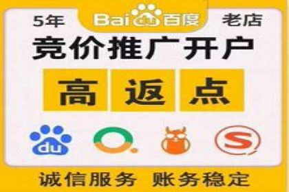 百度推广费用投入与用户转化路径的优化案例